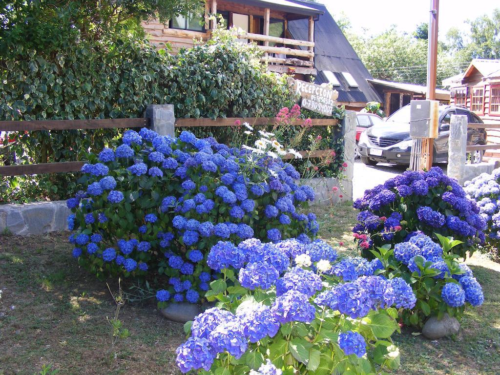 Отель Cabanas Las Hortensias Ньебла Экстерьер фото